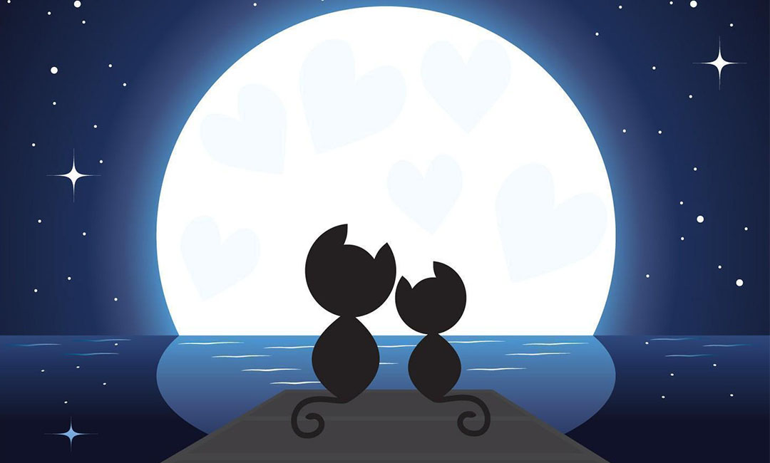 黄浦潮客汇微信活动策划案例